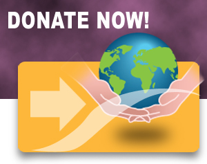 Donate Now graphic